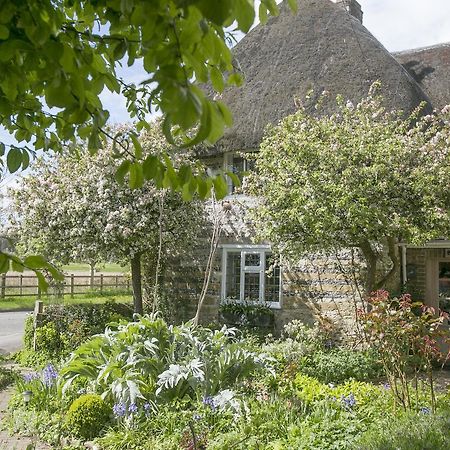 Tudor Cottage B&B Frampton Dorchester Exterior photo