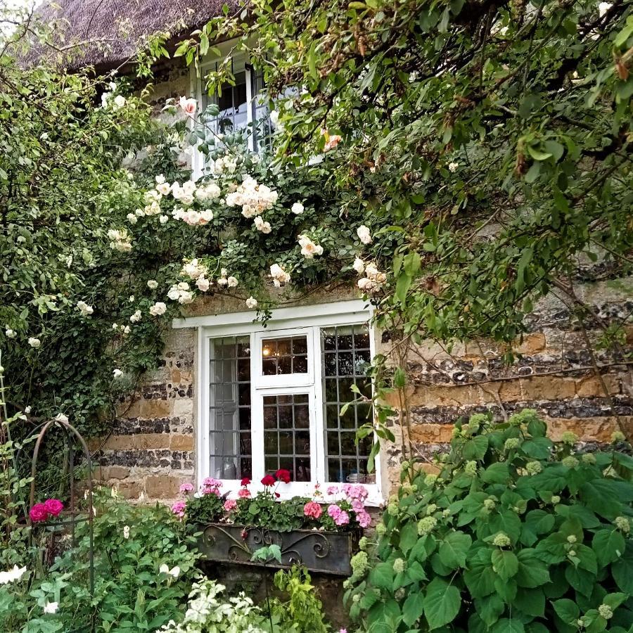 Tudor Cottage B&B Frampton Dorchester Exterior photo