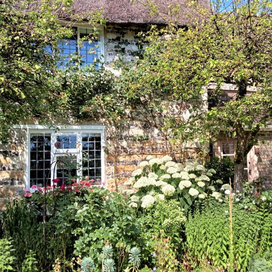 Tudor Cottage B&B Frampton Dorchester Exterior photo