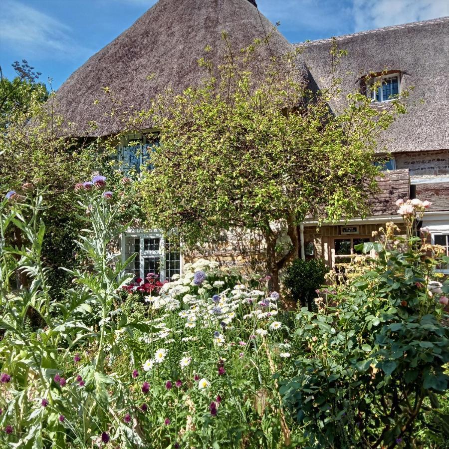 Tudor Cottage B&B Frampton Dorchester Exterior photo