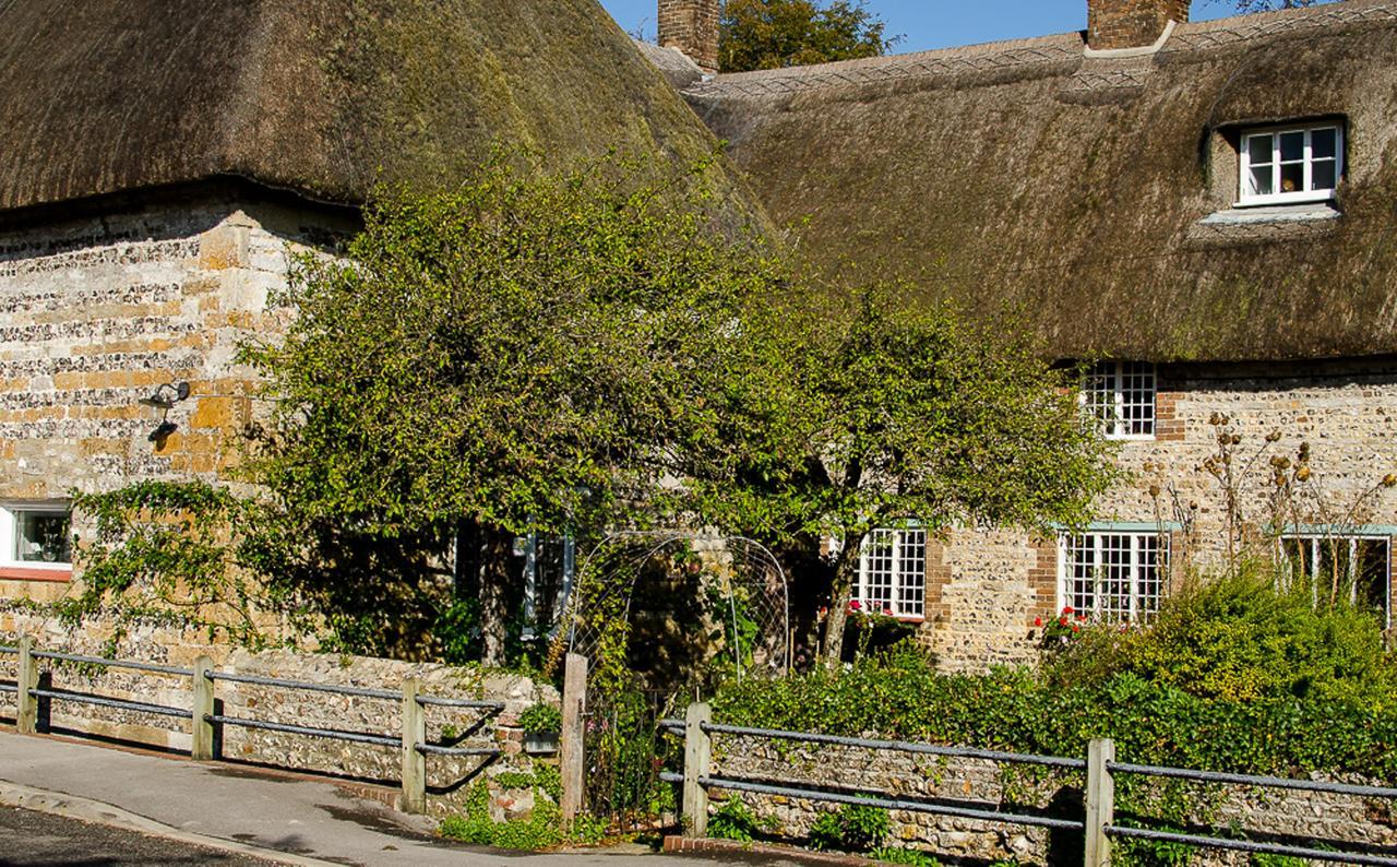 Tudor Cottage B&B Frampton Dorchester Exterior photo