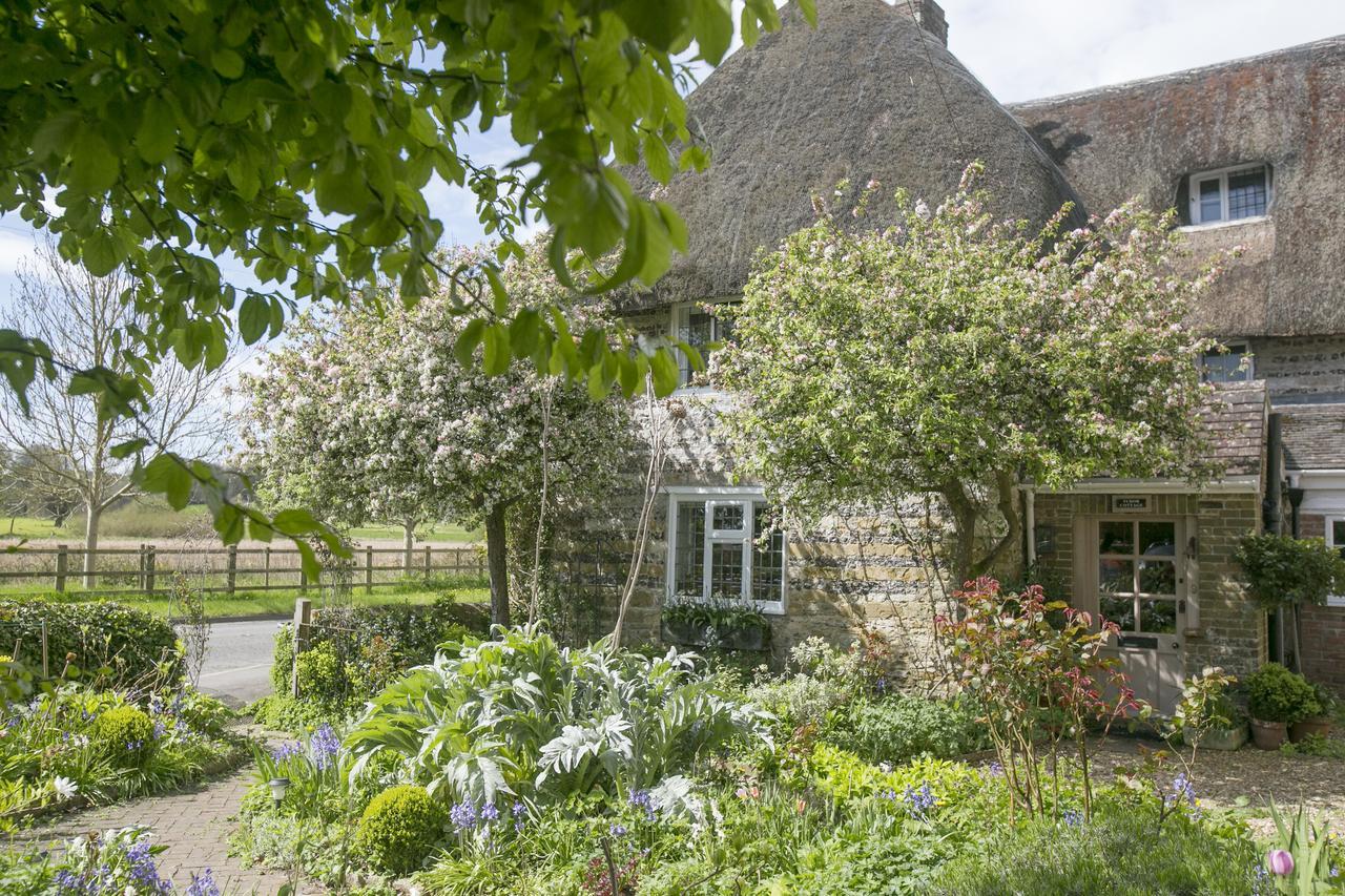 Tudor Cottage B&B Frampton Dorchester Exterior photo